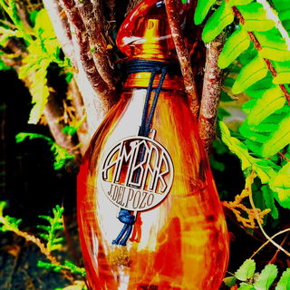 Ambar - Jesus del Pozo