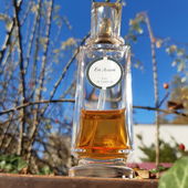 🛩️🎁🎄🥰Wünsche fliegen hoch zum Himmel, hinauf in die Unendlichkeit. Ich wünsche Euch Allen von Herzen eine Schöne Weihnachtszeit mit vielen Düften, Duftgeschenken mit Lichterglanz und Sternenzeit. Ich danke Euch sehr herzlich für Eure Begleitung meiner Fotos und wünsche einen Guten Start mit viel Gesundheit ins Neue Jahr 2025. Alles Gute. Liebe Grüße Kailani💙🎄🥰🎁🛩️ (by Kailani)