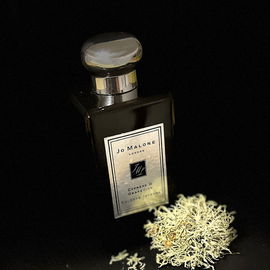 Cypress & Grapevine (Cologne Intense) - Jo Malone