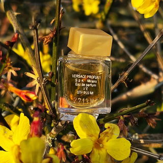 V'E Versace (Eau de Parfum) von Versace