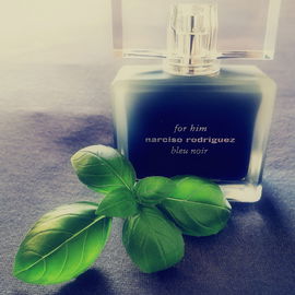 For Him Bleu Noir (Eau de Toilette Extrême) - Narciso Rodriguez