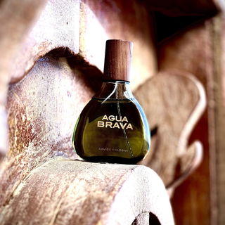 Agua Brava (1968) (Eau de Cologne) - Puig