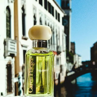 die grün-schattige Coole vom kühlen Puder-Ufer 😎 - schön, dass Ihr hier vorbeischaut und Euch (bitte gerne) mitteilt ☺️