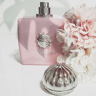 Instant Crush - Mancera