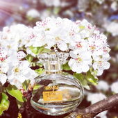 Dankeschön und passt gut auf Euch auf! (by Lavendel18)