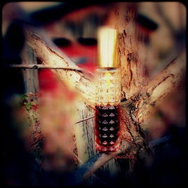 by Sorceress