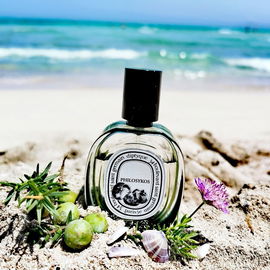 *Strandimpressionen Teil 2* Nicht nur die Sizilianerin, auch der kleine Grieche wollte mit an den Strand von Mallorca! 😊 Danke  schön 💚
