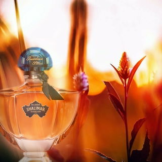 Shalimar Millésime Tonka von Guerlain