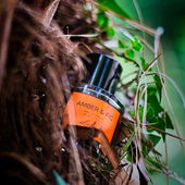 Versteckt in einer alten Dattelpalme - vielen Dank für eure Pokale und Kommentare! (von DrHildegard)