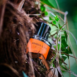 Versteckt in einer alten Dattelpalme - vielen Dank für eure Pokale und Kommentare!