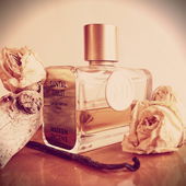 Hölzer, dezente Blüten, Vanille und ein Rauchschleier - hier im Duft zu einer tollen Kombi vereint (von MadameLegras)