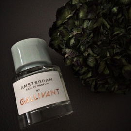 Amsterdam - Gallivant
