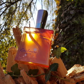Cashmere Glow (Eau de Toilette) - Bath & Body Works