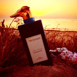 Sonnenaufgang in Ägypten 🌅