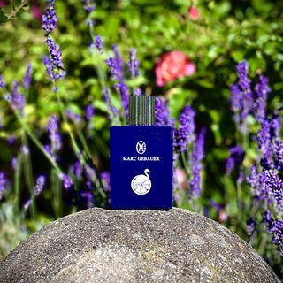 Purple Flamingo - Marc Gebauer