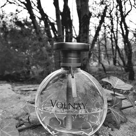 Yapana (2013) - Volnay