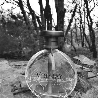 Yapana (2013) - Volnay