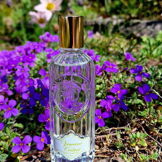 Verveine Cédrat von Jeanne en Provence