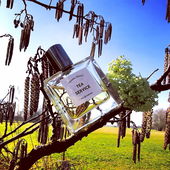 Bei den Temperaturen gedanklich zurück in den Frühling. Ich danke euch allen. 🤗😘 (by Gandix)