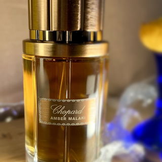 CHOPARD - AMBER MALAKI