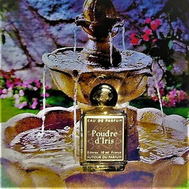 Poudre d'Iris - Autour du Parfum