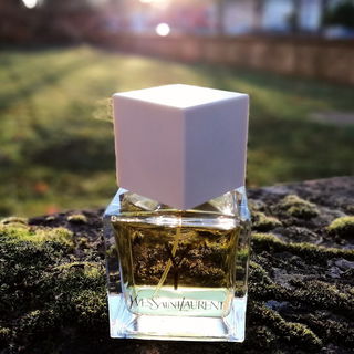 Y (2011) (Eau de Toilette) - Yves Saint Laurent