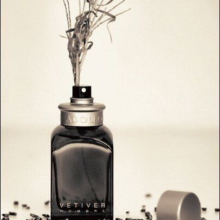 Agua Fresca Vetiver / Vetiver Hombre von Adolfo Dominguez