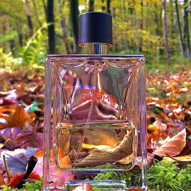 Boss Bottled Intense (Eau de Parfum) - Hugo Boss