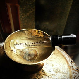 Brivido Della Caccia (Eau de Parfum) - Argos