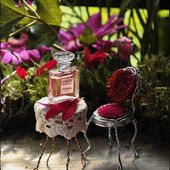 Louis XlV, Lustgarten (by Lasisa)