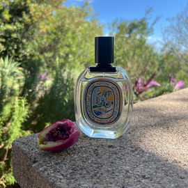 Ilio Edition Limitée 2024 (Eau de Toilette) - Diptyque