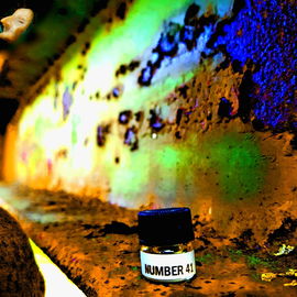 Number 41 (Eau de Parfum) - The Strange South