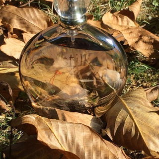 Still (Eau de Parfum) - Jennifer Lopez