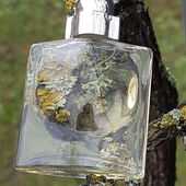 🍁💙🥰🕯️Jetzt ist sie da, die blätterlose Zeit und nur die Flechten zaubern ein bisschen Farbe in den Novembermorgen. Vielen lieben Dank für Eure Besuche bei meinem Foto. Ich freue mich sehr und wünsche Euch ein besinnliches und wunderschönes 1. Adventswochenende. Alles Gute und liebe Grüße von Kailani🕯️🍁💙🥰 (by Kailani)