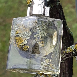 🍁💙🥰🕯️Jetzt ist sie da, die blätterlose Zeit und nur die Flechten zaubern ein bisschen Farbe in den Novembermorgen. Vielen lieben Dank für Eure Besuche bei meinem Foto. Ich freue mich sehr und wünsche Euch ein besinnliches und wunderschönes 1. Adventswochenende. Alles Gute und liebe Grüße von Kailani🕯️🍁💙🥰