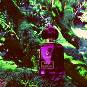 💚💜 Lieben Dank fürs Vorbeischauen 💜💚 (by MadameLegras)