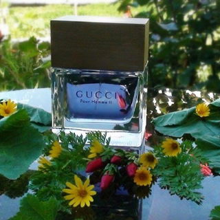 Gucci pour Homme II (Eau de Toilette) by Gucci