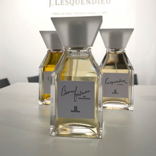 Bonne Fortune (2016) von Lesquendieu