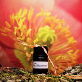 Mittsommermohnsonnenaufgang (von Floyd)