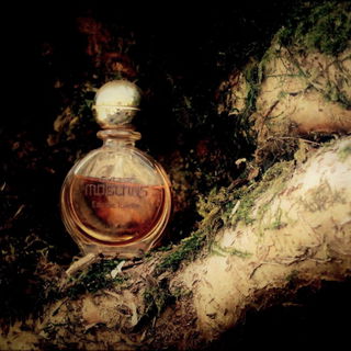 Extase Moschus / Extase Musk Woman (Eau de Toilette) - Mülhens