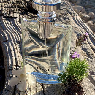 Bvlgari pour Homme Extrême by Bvlgari