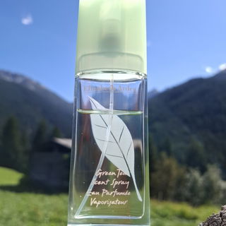 Green Tea (Eau Parfumée) by Elizabeth Arden