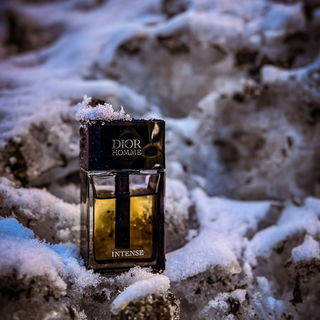 Dior Homme Intense (2011)