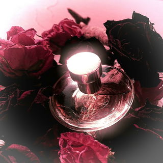 Rosewood - Banana Republic