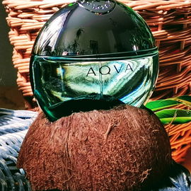 Aqva pour Homme Marine (Eau de Toilette) - Bvlgari
