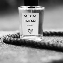 Eau de Citron Noir - Hermès