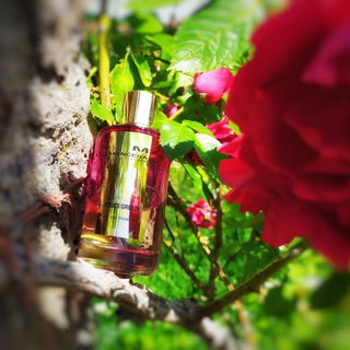 Roses Greedy - Mancera