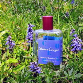 Patchouli Riviera / Mistral Patchouli - Atelier Cologne