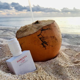 ... am Strand sitzen und aufs Meer schauen...