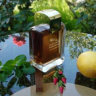 Excellence Intense by Jaguar
